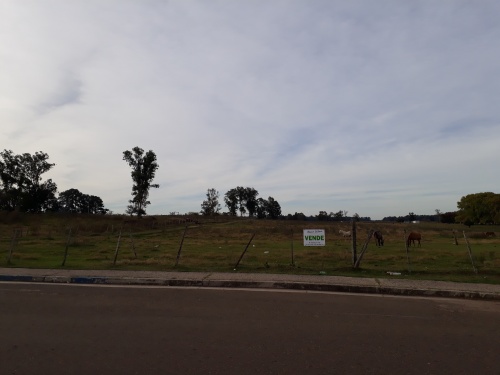 Terreno en Venta en Tacuarembó, Tacuarembó