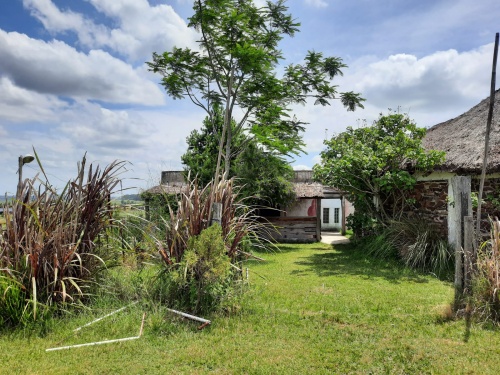 Campo / Chacra en Venta en Tacuarembó, Tacuarembó