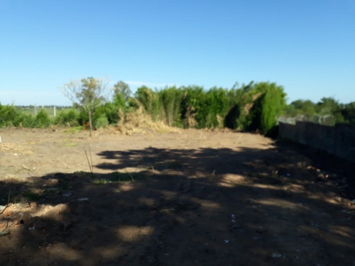 Terrenos en Venta en Tacuarembó