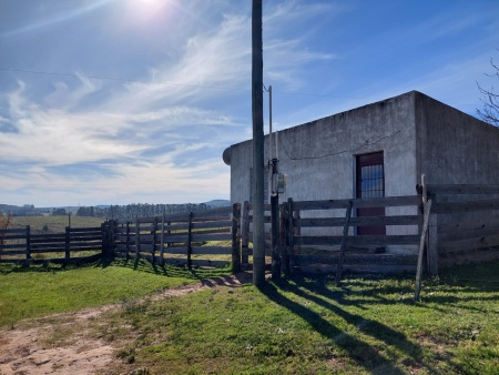 Terreno en Venta en Barrio Curbelo, Tacuarembó, Tacuarembó