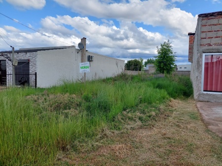 Terrenos en Venta en Barrio Alibe, Tacuarembó