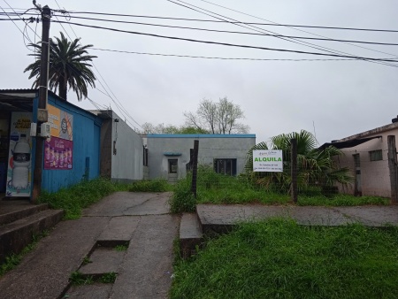 Casas en Alquiler en Tacuarembó