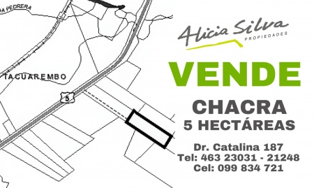 Campo / Chacra en Venta en Tacuarembó, Tacuarembó