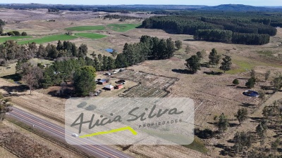 Chacra en Venta en Tacuarembó, Tacuarembó