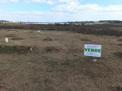 Terrenos en Venta en Los Tilos, Tacuarembó, Tacuarembó