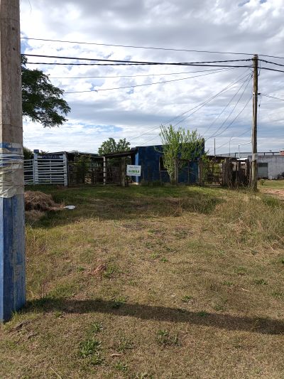 Casa en Alquiler en Tacuarembó, Tacuarembó