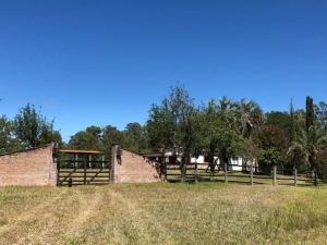 Campo / Chacra en Venta en Tacuarembó, Tacuarembó