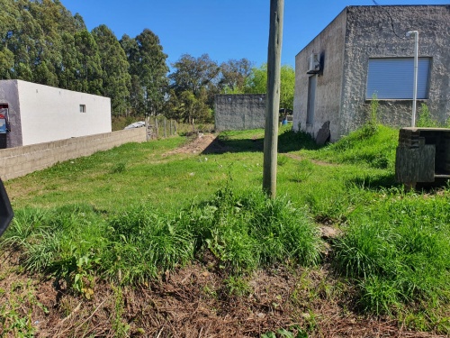 Terrenos en Venta en Barrio Pereira Fontes, Tacuarembó
