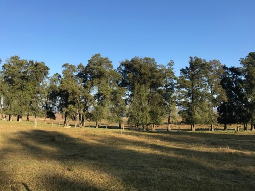 Chacras en Venta en Tacuarembó