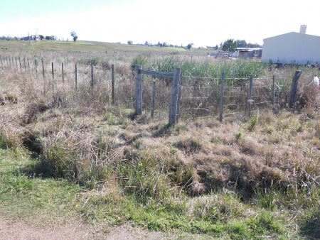 Terrenos en Venta en Barrio Rinaldi, Tacuarembó