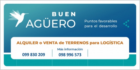 Terreno en Venta en Camino de Ingreso a Planta UPM, Pueblo Centenario, Paysandú