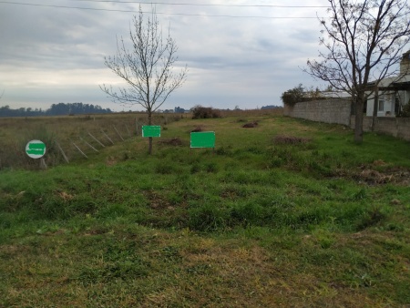 Terrenos en Venta en Tacuarembó