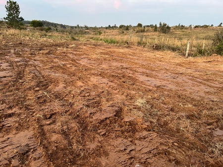 Chacras en Venta en Ruta 5 rumbo al Sur, Tacuarembó, Tacuarembó