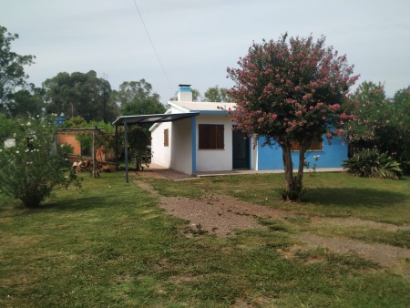 Casas y Apartamentos en Alquiler en Barrio Centenario, Tacuarembó