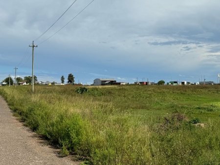 Terrenos en Venta en Tacuarembó, Tacuarembó