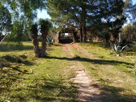 Chacras en Venta en Tacuarembó