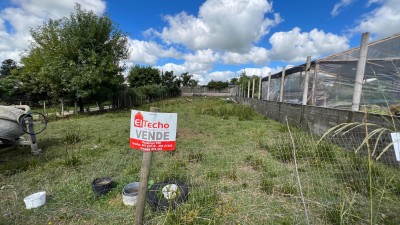 Terrenos en Venta en Barrio Rinaldi, Tacuarembó, Tacuarembó