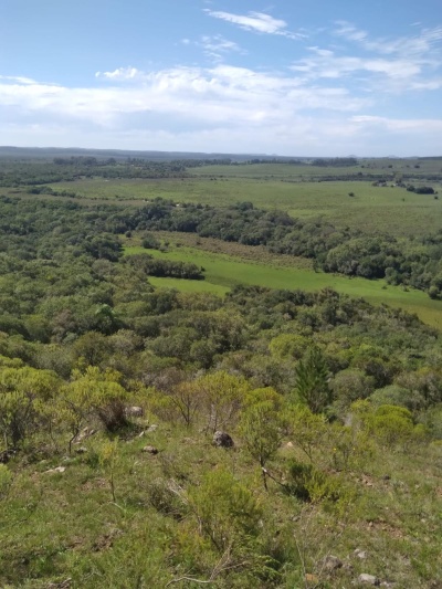 Campos  en Venta en Paso Del Cerro, Tacuarembó