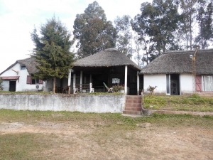 Campo / Chacra en Venta en Tacuarembó, Tacuarembó