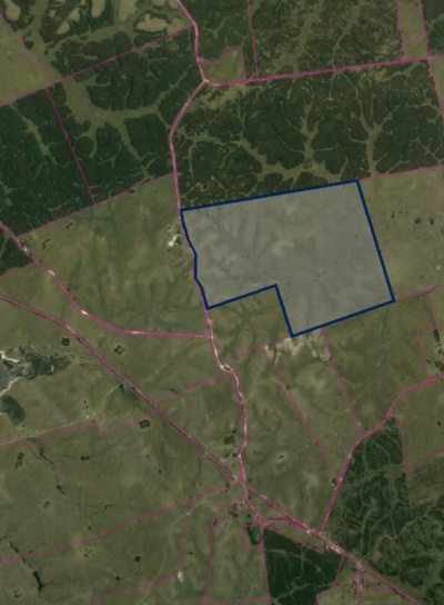 Campos  en Alquiler en Cuchilla del Ombu, Tacuarembó, Tacuarembó