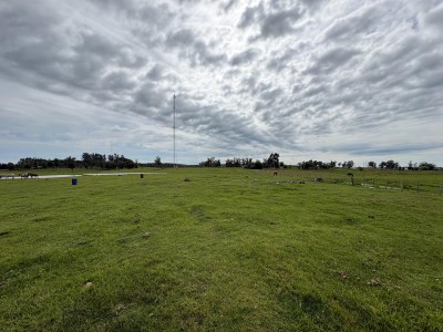 Chacras en Venta en Cuchilla del Ombú, Tacuarembó