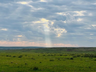 Campo en Venta en Tacuarembó, Tacuarembó