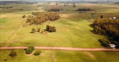 Chacras en Venta en Tacuarembó, Tacuarembó
