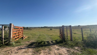 Chacras en Venta en La Aldea, Tacuarembó, Tacuarembó