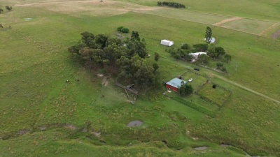 Chacra en Venta en Ruta 5 rumbo al Sur, Tacuarembó, Tacuarembó