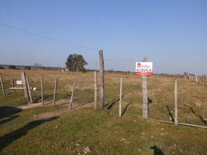 Campo / Chacra en Alquiler en Tacuarembó, Tacuarembó