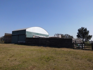 Campo / Chacra en Venta en Tacuarembó, Tacuarembó