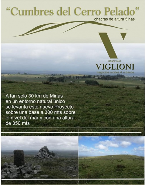 Campos y Chacras en Venta en Cerro palado a 30 km de Minas, Minas, Lavalleja