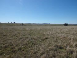 Campo / Chacra en Venta en Minas, Lavalleja