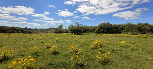 Campos y Chacras en Venta en Pueblo Edén, Maldonado