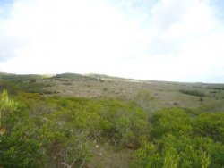 Campos y Chacras en Venta en Maldonado, Maldonado