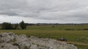 Campo / Chacra en Venta en Minas, Lavalleja