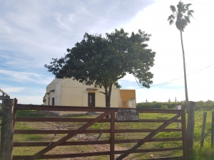 Campos y Chacras en Alquiler en Paraje Pense, Soriano