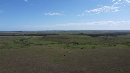 Campo / Chacra en Venta en Cuchilla Del Fuego, Paysandú