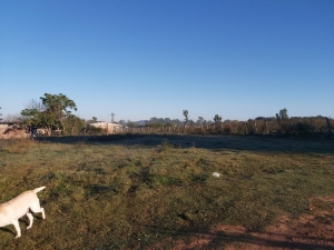 Terrenos en Venta en Melo, Cerro Largo