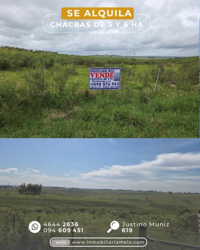 Terreno en Venta en Melo, Cerro Largo