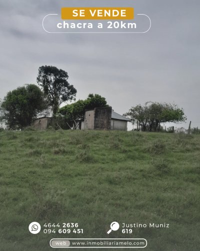 Chacra en Venta en Melo, Cerro Largo