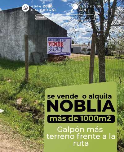 Campo en Venta en Isidoro Noblía, Cerro Largo