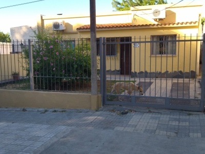 Casa en Venta en Durazno , Durazno