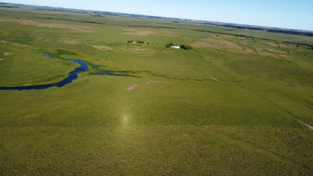 Campo / Chacra en Venta en Carlos Reyles, Durazno , Durazno