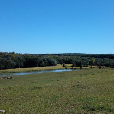 Campos y Chacras en Venta en Mariscala, Carmen, Durazno