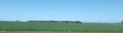 Campo en Venta en Santa Bernardina, Durazno , Durazno