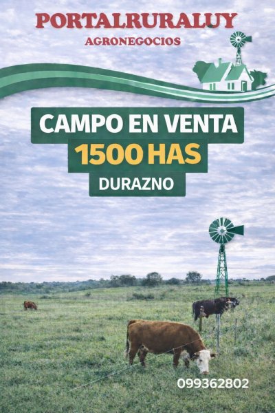 Campo en Venta en Durazno , Durazno