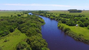 Campo / Chacra en Venta en Durazno , Durazno