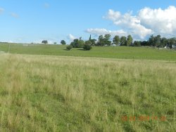 Campos y Chacras en Venta en Durazno , Durazno