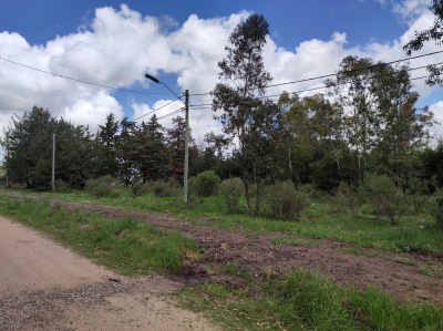 Terrenos en Venta en Durazno , Durazno